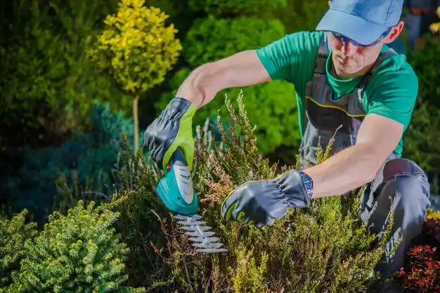 landscaping services Bruce